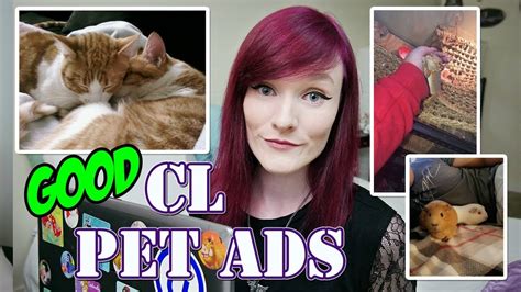 Enid craigslist pets. Things To Know About Enid craigslist pets. 
